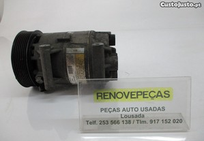 Compressor A/C Renault Megane Ii (Bm0/1_, Cm0/1_)