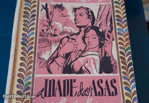 imagem_4