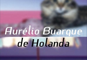 Melhores contos Aurélio Buarque de Holanda