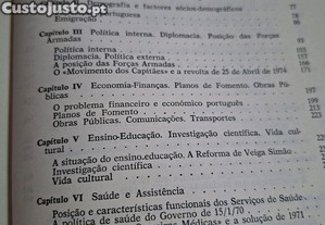 imagem_7