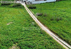 imagem_15