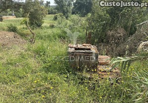 imagem_20