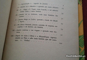 imagem_3