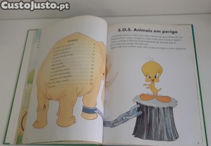 imagem_7