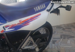 imagem_12
