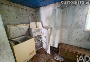imagem_11
