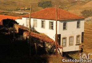 imagem_25