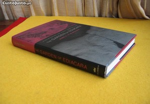 imagem_8