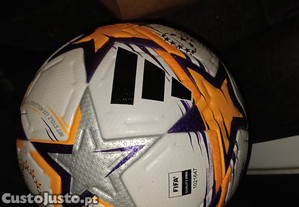imagem_1
