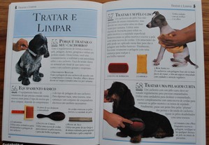 imagem_6