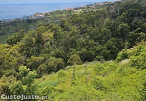 Terreno em Gaula de 3370,00 m²
