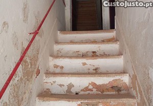 imagem_10