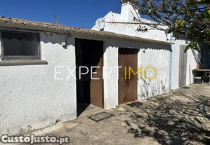 imagem_31