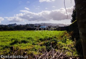 Terreno Com 22.000 M2 Em Frente À A28 Nó De...