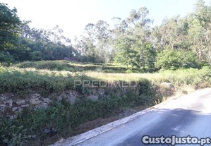 imagem_21