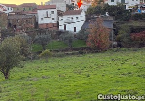 imagem_6