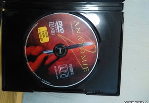imagem_11