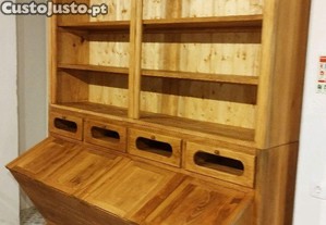 imagem_1