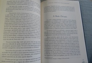 imagem_8