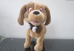 imagem_2