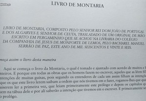 imagem_7