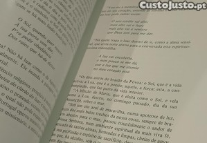imagem_11