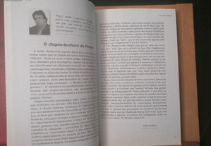 imagem_8