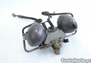 Botija Suspensao Citroen C5 Iii Break (Rw_)