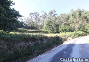imagem_22