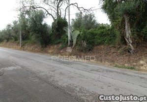 imagem_6