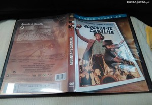 imagem_9