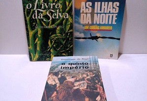 imagem_4