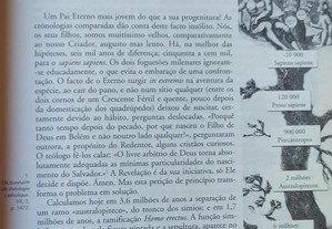 imagem_7