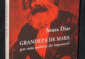 Livro Grandeza de Marx Sousa Dias