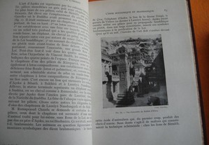 imagem_7