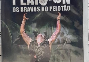 imagem_5