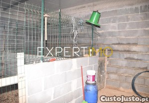 imagem_25