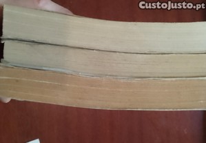 imagem_14
