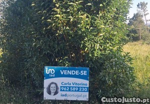 imagem_21