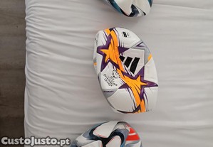 imagem_3