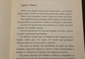 imagem_4