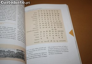 imagem_6