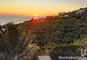 imagem_21