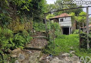 imagem_15