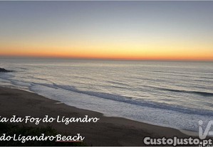 imagem_23