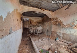 imagem_11