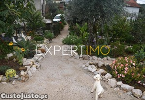 imagem_14