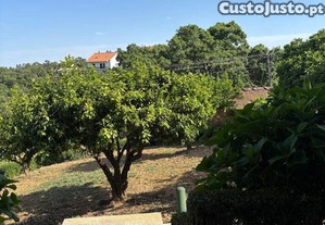 imagem_39