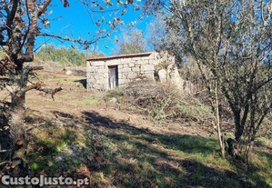 Terreno Agrícola em Juncais, Vila Ruiva e Vila Soeiro do Chão