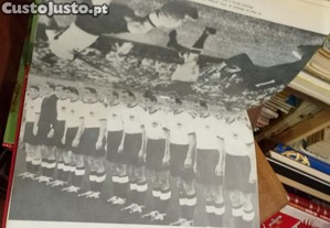 imagem_6